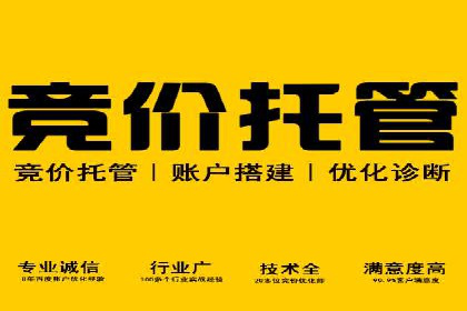 竞价排名案例分析：电商行业